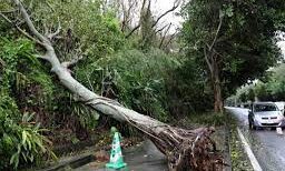 Allemagne: 4,3 milliards d’euros de dégâts dus aux catastrophes naturelles en 2022 Catastrophe Naturel Allemagne e1672335185574