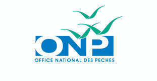 Port de Lamhiriz: Les débarquements de la pêche en baisse de 54% à fin août Office National des Peches