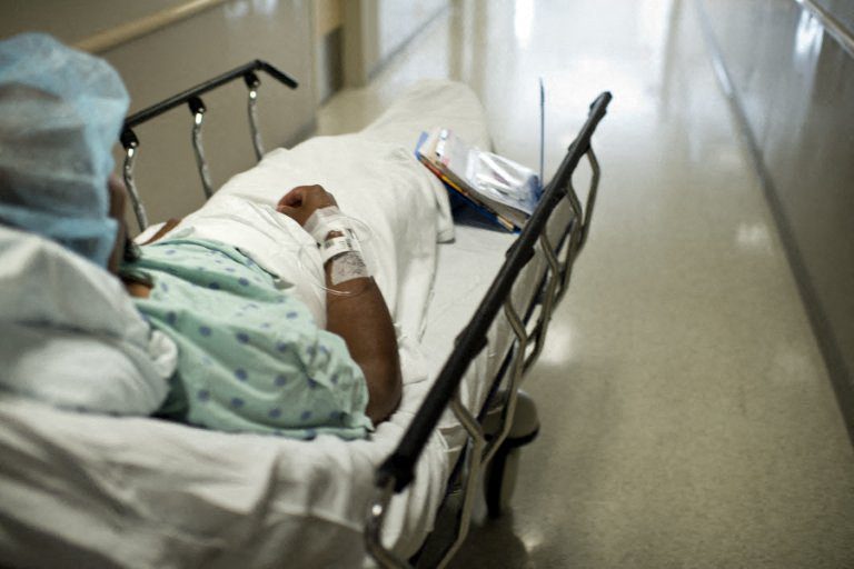 Des chirurgiens américains ont transplanté un rein de porc sur un patient vivant kidney transplantation 1711031455