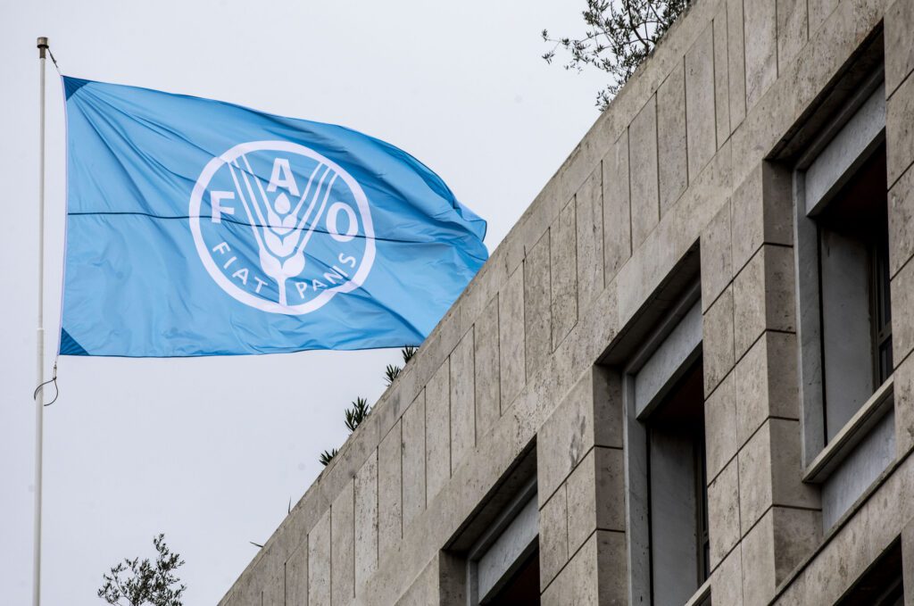 FAO 12227x0315