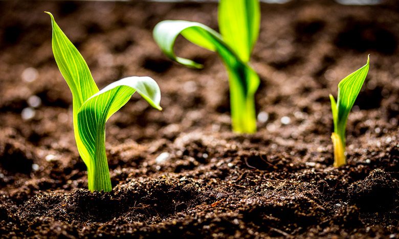 agroalimentaires - MCG24 FR