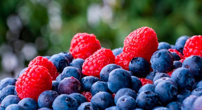 Exportations des fruits rouges : le Maroc marque le pas après plusieurs années de croissance image 296