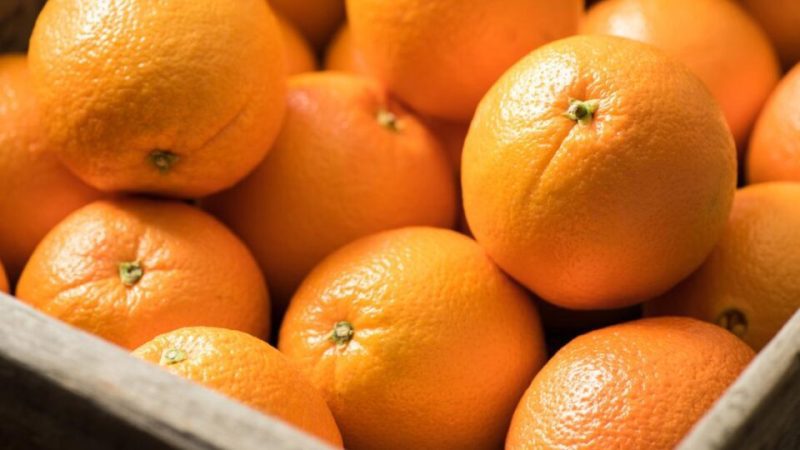 Les exportations d’oranges marocaines vers l’Allemagne explosent, le Royaume vise le Top 5 des fournisseurs برتقال 960x540 1