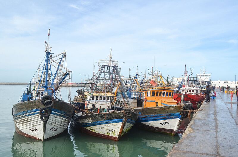 Le port de Laâyoune enregistre une hausse de 56 % des débarquements de produits de la pêche en sept mois NV7T4MG6X5JEBFR2OLPDHFYZLQ