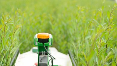 AGRICULTURE INNOVANTE