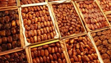 Marchés des dattes