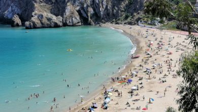 PLAGES e1624098037409