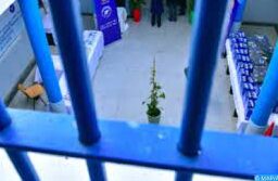 Prison safi e1665681329940