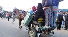 Casablanca : les charrettes à traction animales désormais interdites de circuler 1 charette e1665065397238