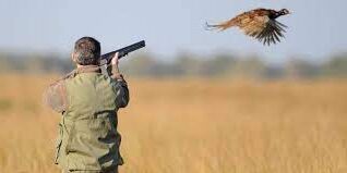 chasse e1664804018315