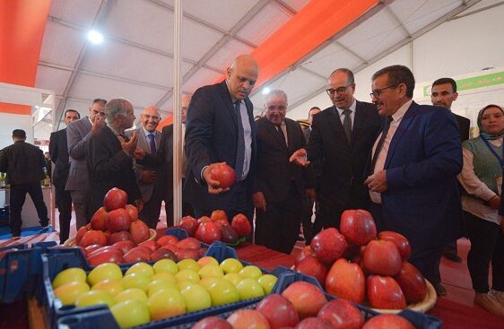 Midelt : le Salon national de la pomme ouvre ses portes 1 salon de la pomme midelt e1665138388813