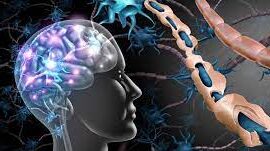 Alzheimer e1669835876781