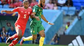 Cameroun suisse e1669306180391