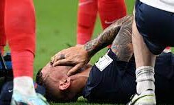 Hernandez forfait e1669205793343