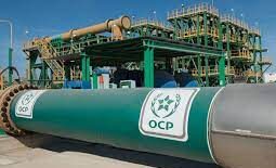 OCP Bresil e1669380198715