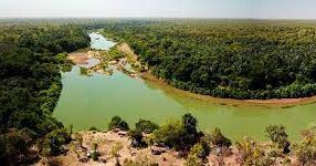 Développement durable : La Fondation OCP soutient le Parc National du Niokolo Koba du Sénégal 1 Park National Niokolo Senegal e1669717959722