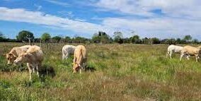 Rechauffement e1669545713112