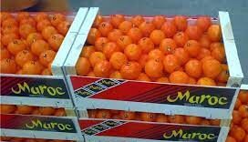 Secteur Fruitier e1668857824542