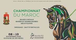 jeunes chevaux e1667982325518