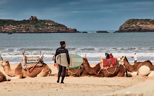Essaouira affiche complet en cette fin d'année : Aucune chambre n'est disponible dans un rayon de 15 km 1 Essaouira fin dannee e1672335882474