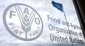 Sécurité alimentaire: La FAO et la BERD lancent un nouveau programme d'assistance 1 FAO NAME e1671542641295