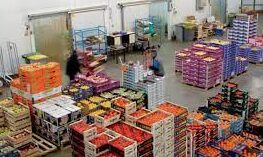 Produits alimentaires: carton plein pour les exportations ! 1 export Maroc e1673522669766