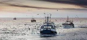 Peche Maritime e1676547438697