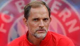 Touchel Bayer e1679739957829