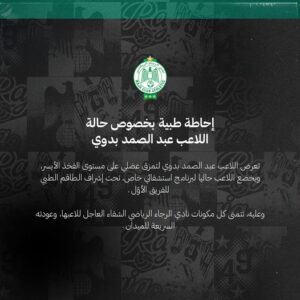 336916791 768256034801896 5460223411603413918 n