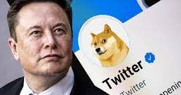 Twitter change de logo 1 Logo Twitter e1680621312335