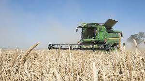 Récolte précoce de céréales, en-deçà des attentes 1 Recolte Cereales