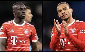 Sane Mane