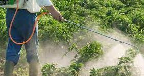 Le Maroc va réaliser une étude sur l'effet des pesticides sur la santé des Marocains 1 pesticides e1680887200264