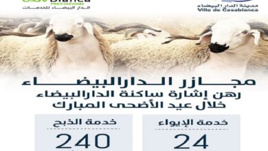 Les Abattoirs de Casablanca