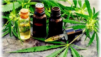 cannabis