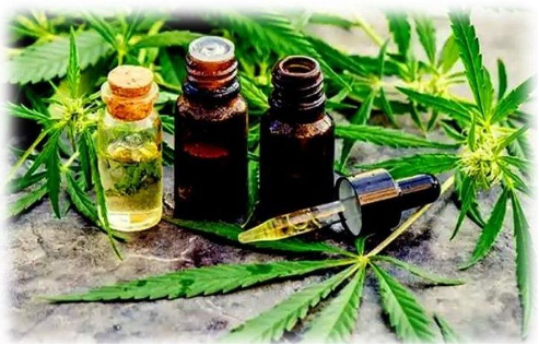 cannabis