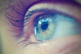 cellules souches pour ameliorer la vue