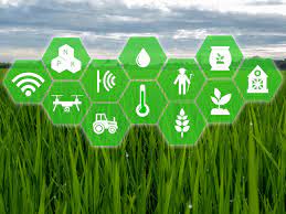 L'IA au service de la rationalisation de l'eau : des solutions intelligentes pour l'agriculture 1 LIA au service de la rationalisation de leau