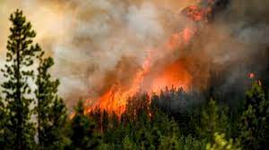 Mégafeux au Canada: la barre des 10 millions d'hectares brûlés franchie 1 Megafeux au Canada