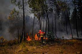Canicule : Incendies au Portugal, l'Espagne en alerte 1 Canicule Incendies au Portugal lEspagne en alerte