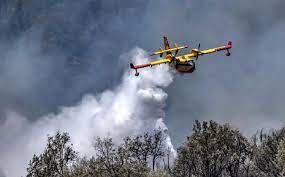Taza: L'incendie de la forêt de Maghraoua maitrisé à 75% 1 Incendie de Taza