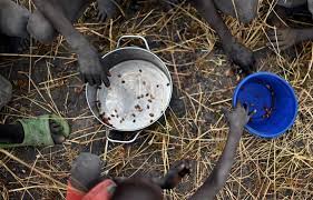 Soudan: Plus de six millions de personnes au bord de la famine (ONU) 1 manque de nourriture au soudan