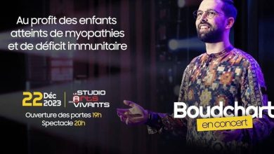 boudchart 1702405543
