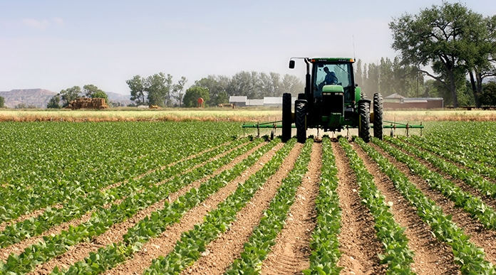 champ agricole trtw