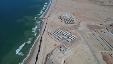 port dakhla 1699384872