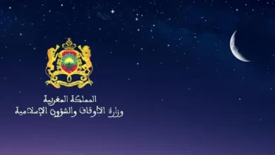 vis 0321202312582990 1