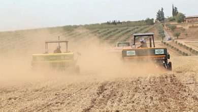 agriculture 064