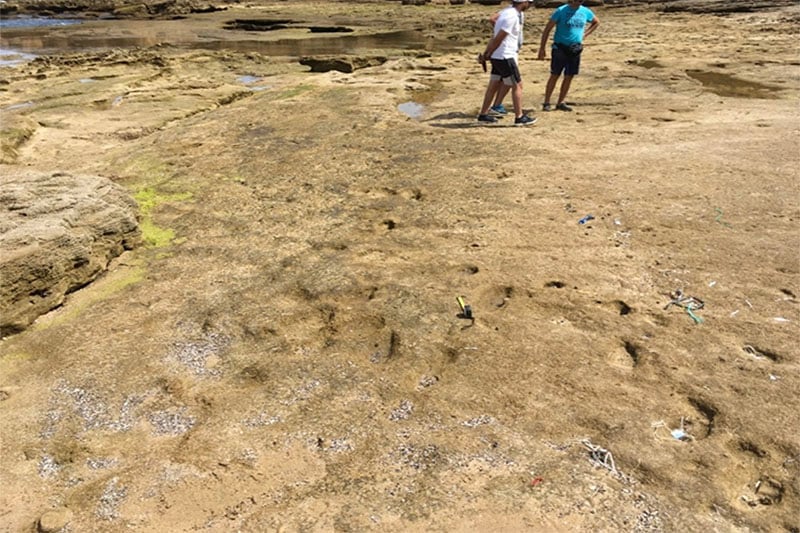 Les plus anciennes empreintes d'homo sapiens en Afrique du Nord découvertes au Maroc 1 empreintes 1