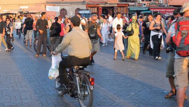 marrakech tourisme 077 0 tt