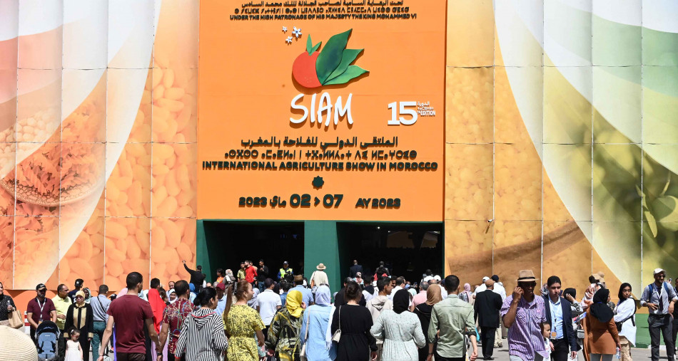 siam mai 2023 2145 1683555050